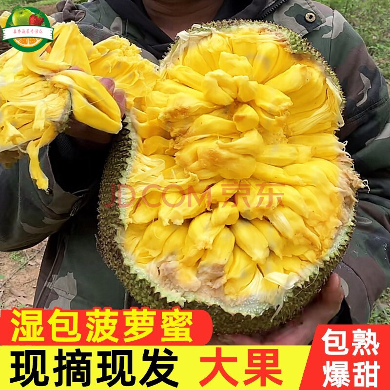 湿包菠萝蜜一整个新鲜水果黄肉湿苞树菠萝波罗蜜当季整箱现摘 10-12斤