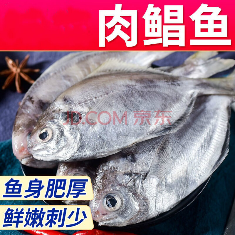 顺丰速运 【中】肉鲳鱼新鲜南鲳鱼大号海捕银鲳鱼海鲜