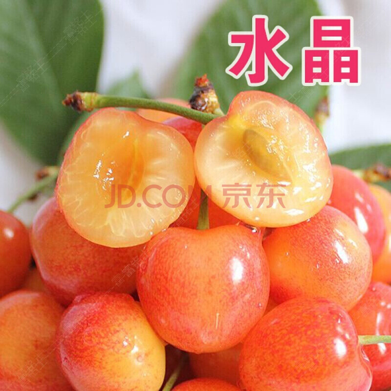 山东烟台福山 大樱桃 黄水晶 黄蜜 新鲜水果 1500g(24