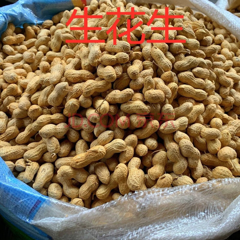 铁锅炒熟花生带壳生花生散装批发 可做种子(生)小籽花生 2斤装(1000g)