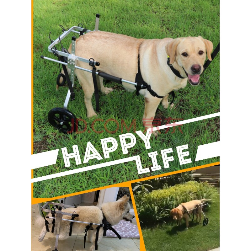 狗狗后腿残疾助力车狗狗瘫痪轮椅车金毛后腿残疾代步车中大型老年犬