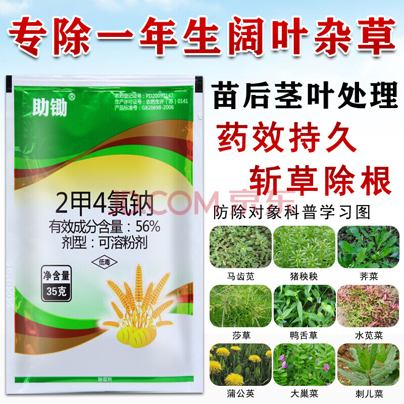 苗后专用除草剂2甲4氯钠玉米小麦田油菜花生强力除阔叶杂草农药 30g