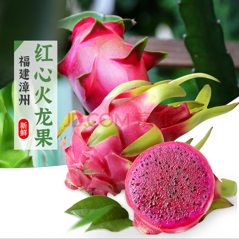 享味观红心火龙果 5斤中果