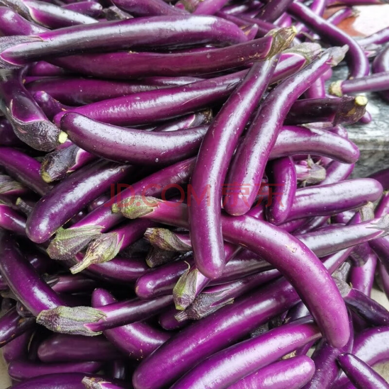 新鲜茄子长茄子 细紫线茄土茄子农家自种现摘茄瓜3/5斤 3斤细线茄子