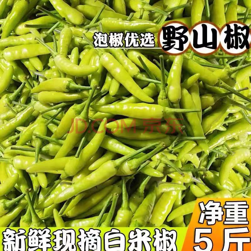 新鲜白米椒特辣小米椒农家现摘现发鸡爪泡椒小个白辣椒泡酸山椒 1斤