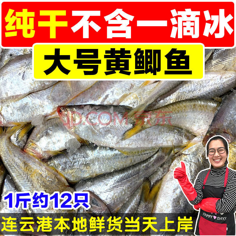 【当潮鲜货】新鲜黄鲫鱼黄尖子毛扣鱼油扣马口鱼烤子鱼海捕鱼 【4斤装