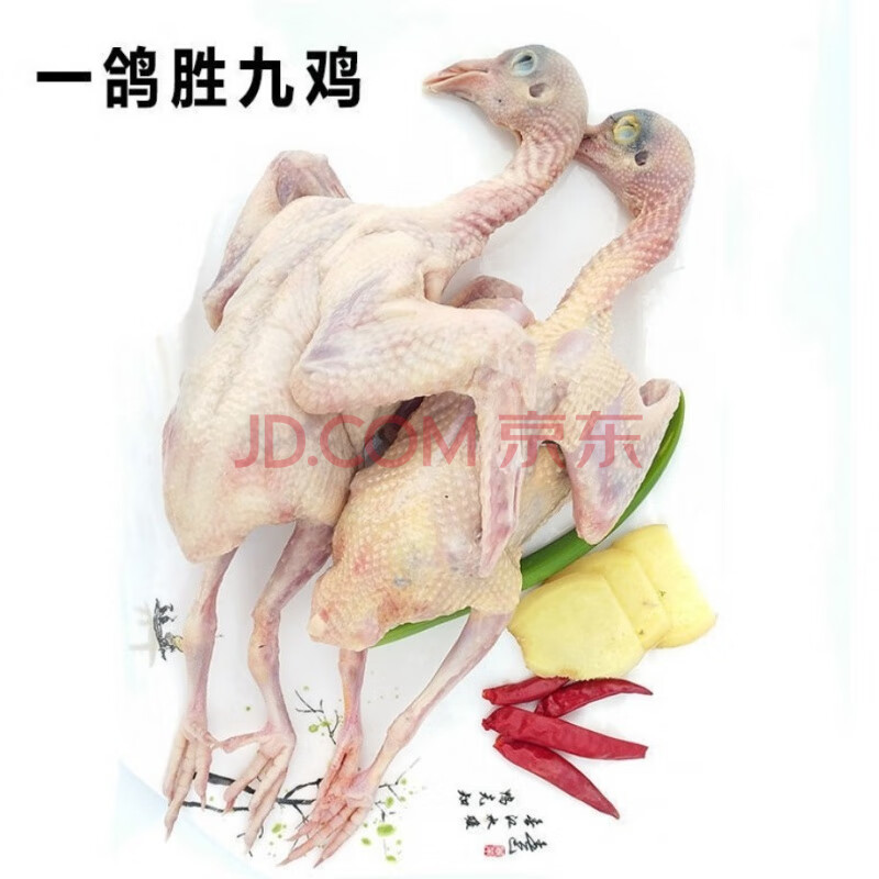 新鲜土鸽子散养乳鸽整只生鲜冷冻烤乳鸽活体现杀鸽子肉 3只装 300克每
