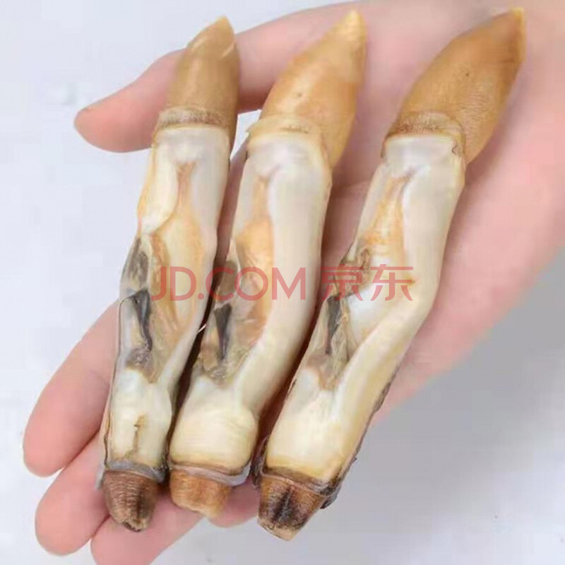 顺丰速运 新鲜冷冻大个蛏王肉大竹蛏肉现剥竹节蛏大蛏子肉海鲜无冰衣
