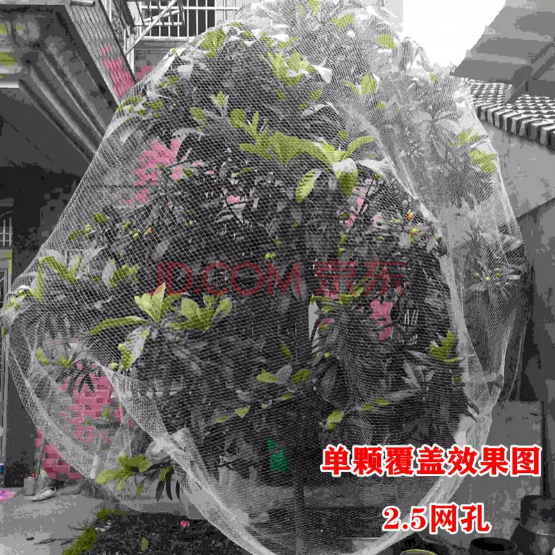 防鸟纱网果树防鸟网樱桃树网嘉宝果树防鸟用的网家用果树防鸟罩尼龙防