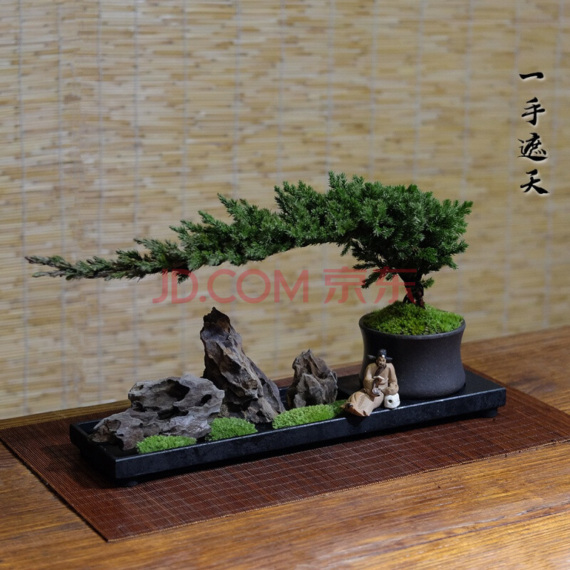 中式盆景迎客松松柏造型盆景 茶几禅意盆栽 一手遮天