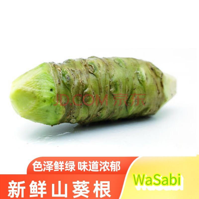 云南新鲜山葵100g 待磨鲜芥末辣根真空包装寿司芥末wasabi 100g