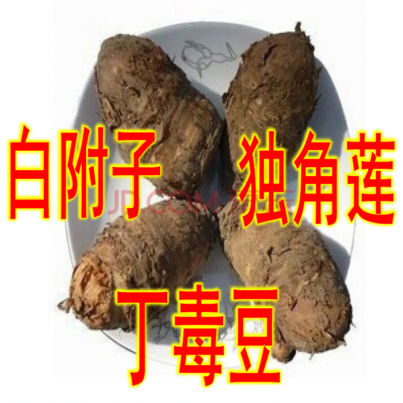 杭情 新鲜独角莲 丁毒豆 种球 种子 野丁毒豆独角莲一斤