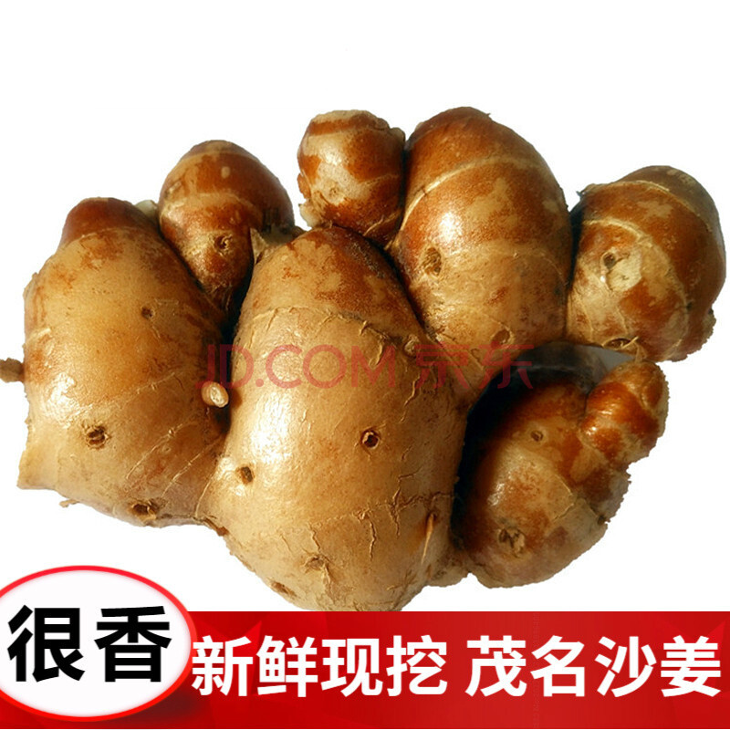 【坏果包赔】沙姜新鲜广东茂名特产山奈老姜调味配料 500g