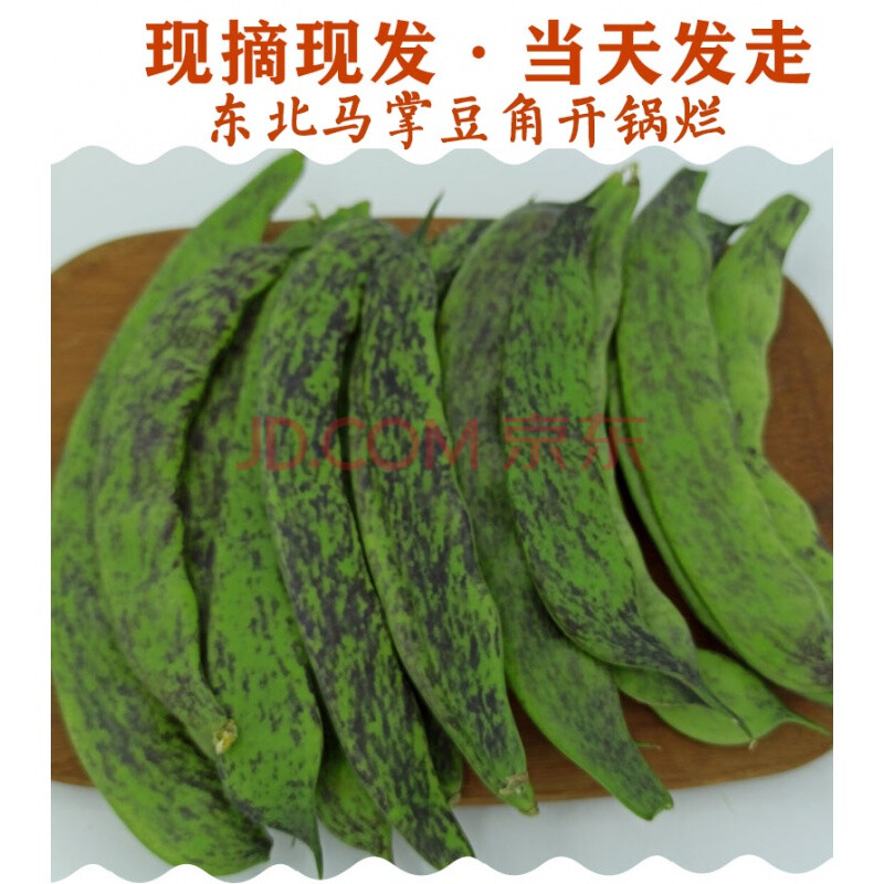 东北豆角马掌新鲜菜蔬菜农家花道油豆角特产现摘5斤 2500g