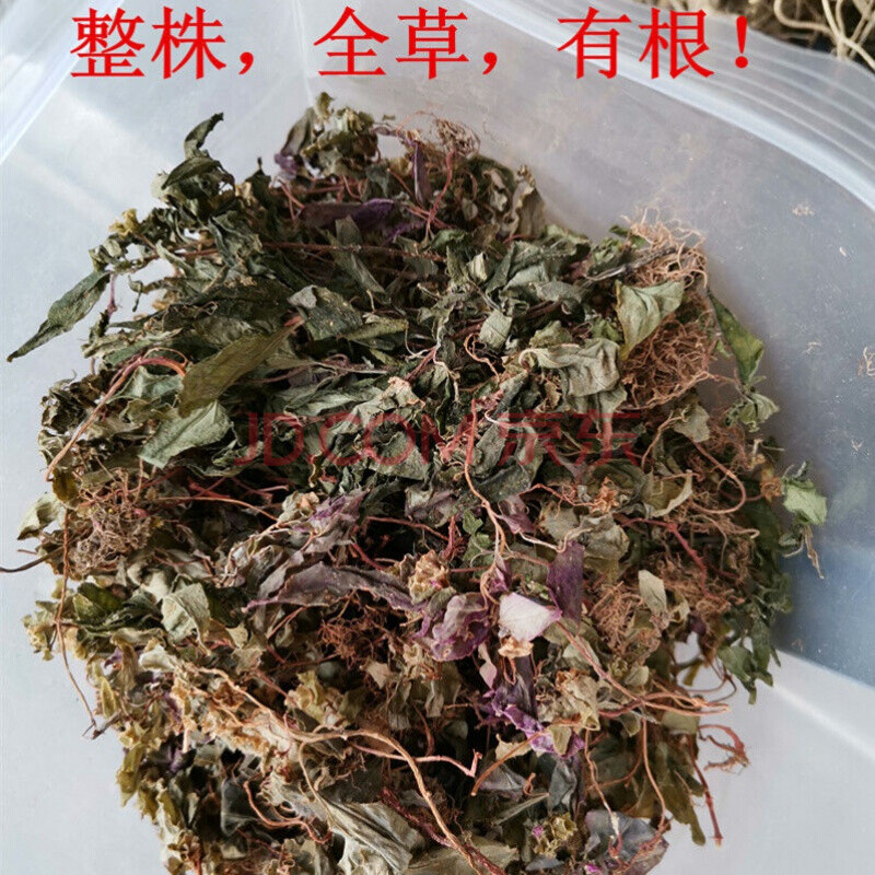 风鼓草 100g 楮头红风柜斗草风谷草风鼓草风骨草 250克