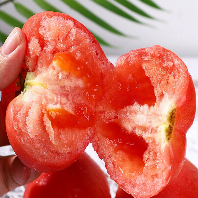 蔬菜 茄果瓜类 龙觇 攀枝花普罗旺斯西红柿自然熟新鲜当季水果脆皮小