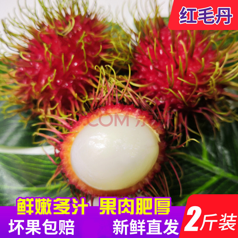 [顺丰速发] 红毛丹毛荔枝新鲜毛丹稀有热带水果毛丹果