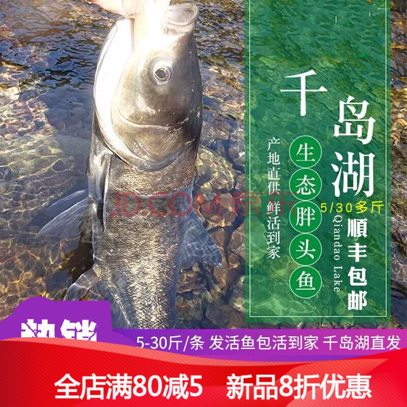正宗千岛湖活鱼胖头鱼鲜活水产新鲜整条大鱼头花鲢鳙淳鱼批发直供