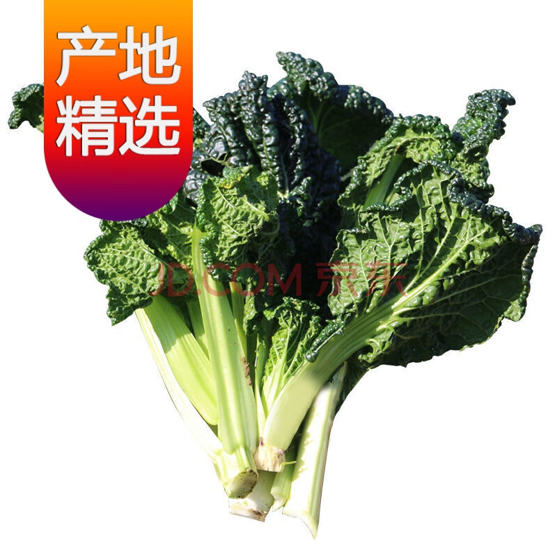 【现货直发】黑白菜新鲜1/5斤黑叶白菜黑心白菜新鲜蔬菜乌白菜 超值5