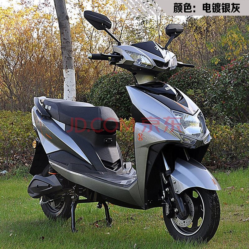 车电瓶车60v成人男女尚领两轮长跑王电摩车爬坡版 电镀银灰-成熟稳重