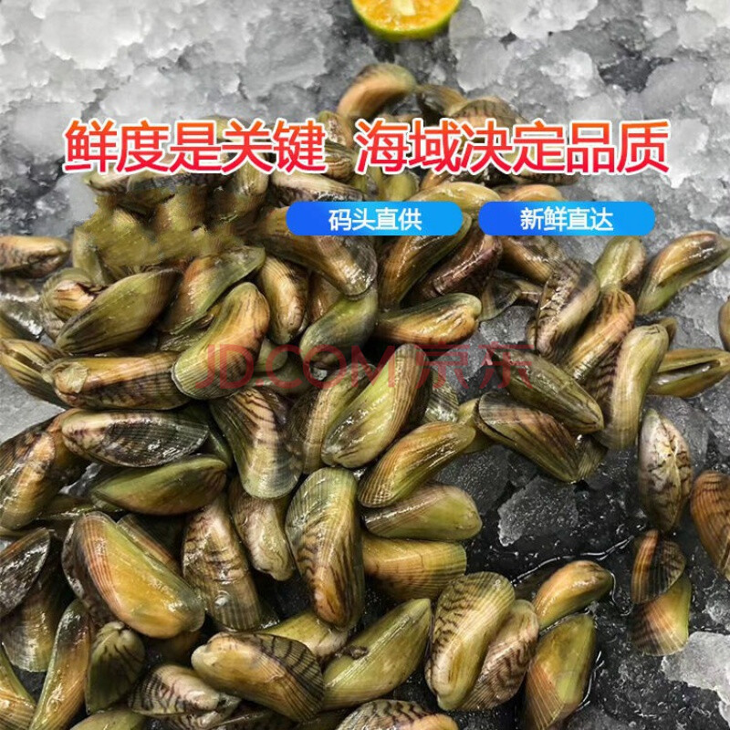 海瓜子薄壳米新鲜鲜活海鲜水产当天海捕贝类特产红肉 一斤