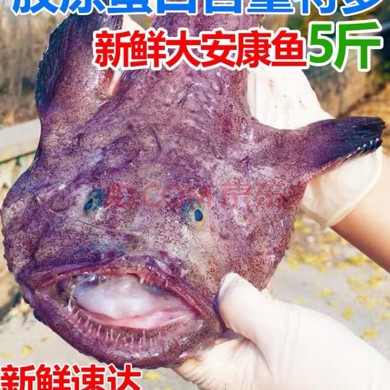 新鲜鮟鱇鱼海鱼无鱼刺带肝带肚灯笼鱼蛤蟆鱼 单条安康鱼净重6-6.
