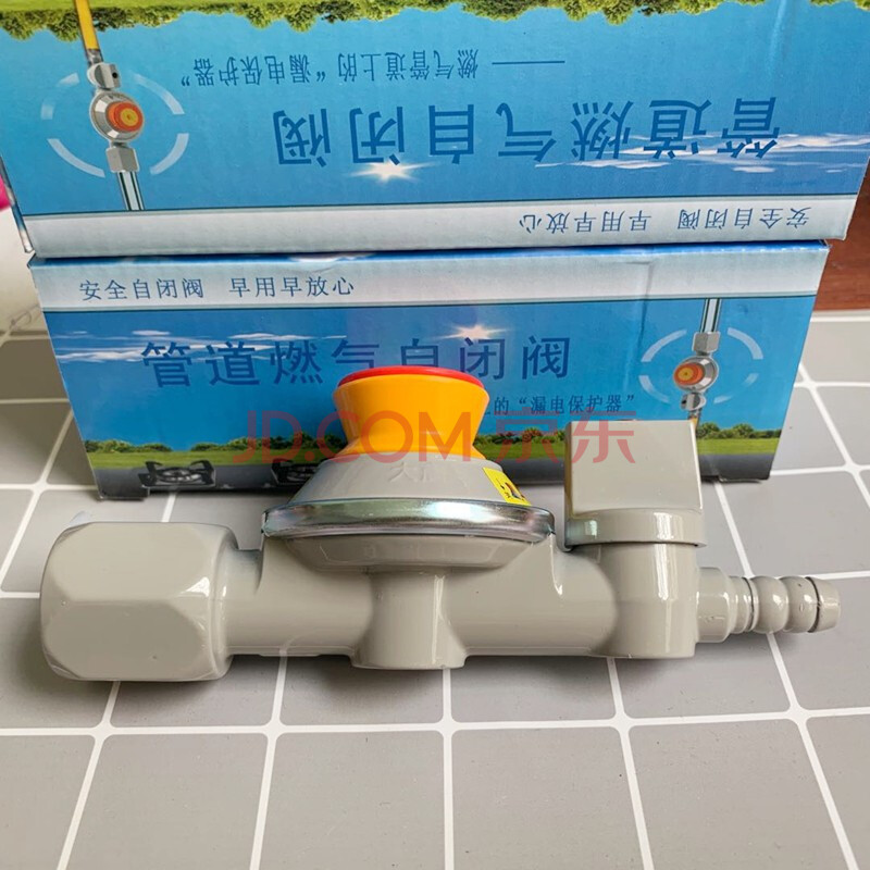 天然气安全阀大唐燃气自闭阀管道安全阀家用漏气防爆保护阀门自动断