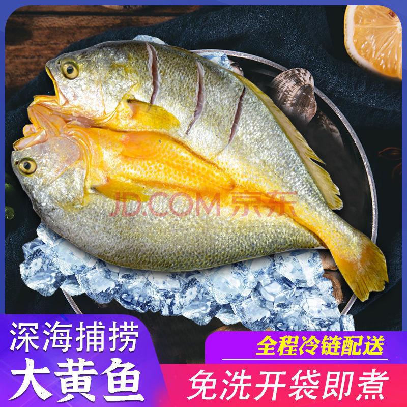 新鲜大黄鱼冷冻水产 鲜鱼海鲜批发免杀洗 250g(掌柜力荐 回头客多 8