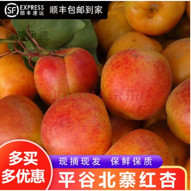 精品礼盒装】北寨红杏 正宗平谷北寨红杏新鲜水果大杏子香甜杏北京软