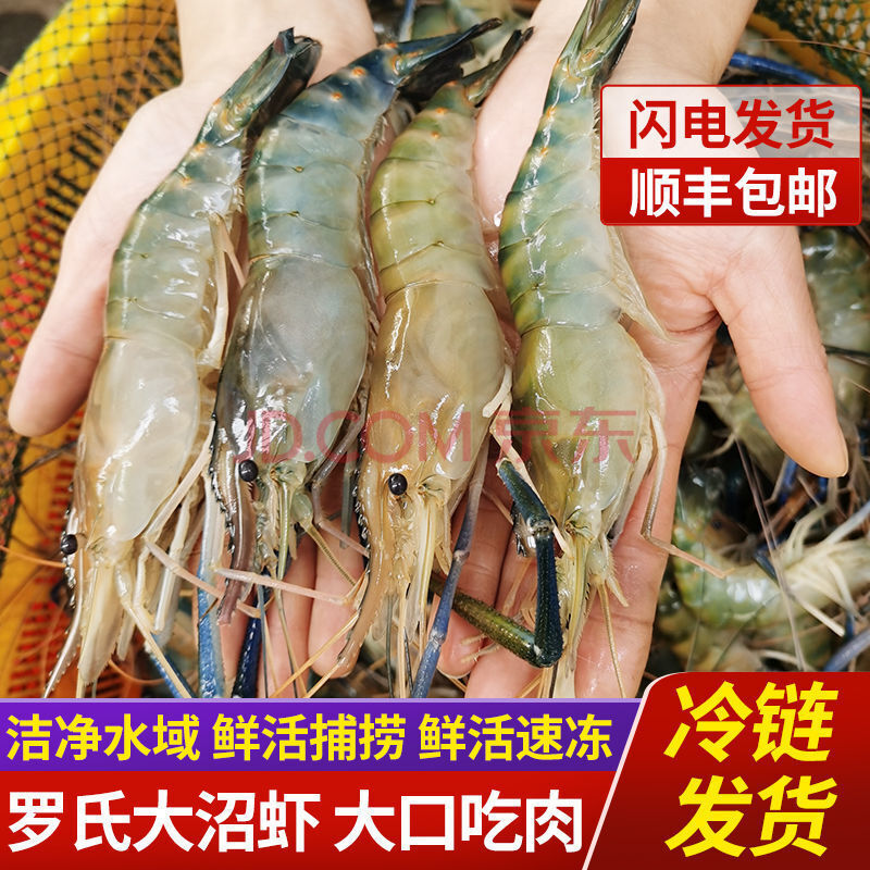 冰凌橙夏旗舰店 鲜活罗氏沼虾 淡水大虾 河虾 对虾 龙虾 海鲜生鲜冷冻