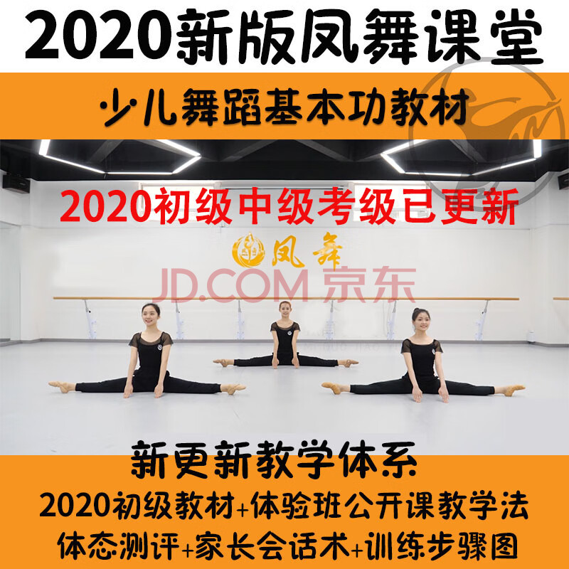 2020新版凤舞课堂少儿舞蹈基本功教材教学组合训练分解视频教案