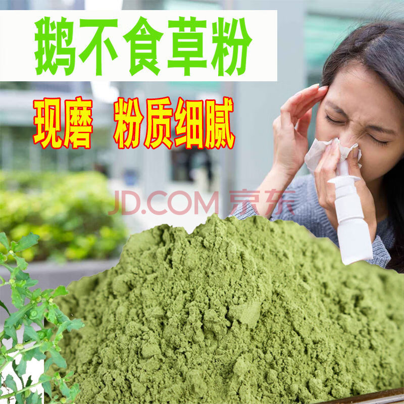 伟博鹅不食草粉苍耳子正宗鼻通中药材粉超细鼻炎粉滴鼻液喷剂粉鹅不食