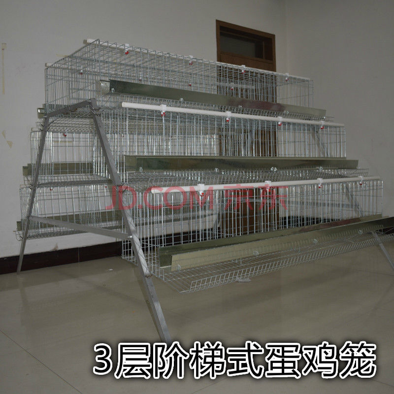 优蛋鸡笼养殖场专用笼鸡笼子阶梯式蛋鸡笼养鸡设备养殖鸡笼全套 二号