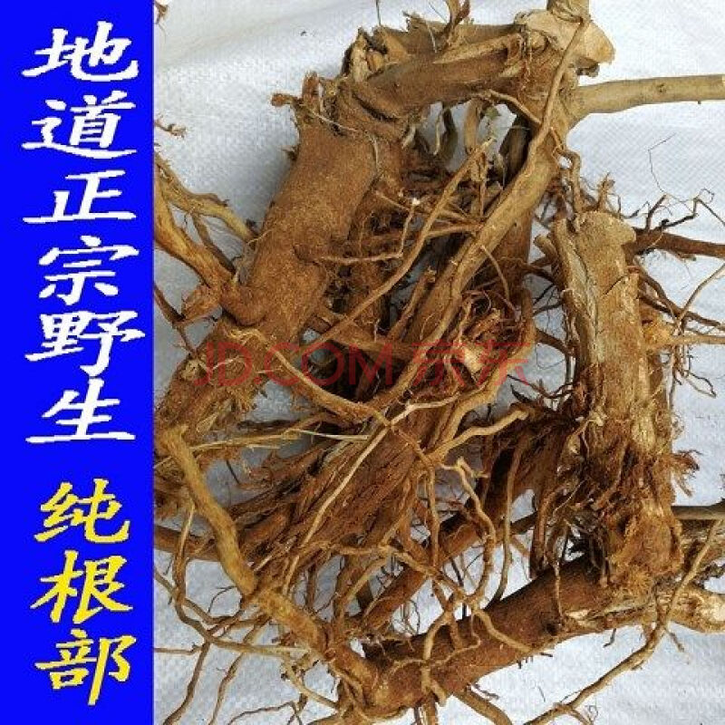 伟博响耳草 磨盘草根磨盘根 磨盆根 磨盆草根头部中药材 500g 图片色