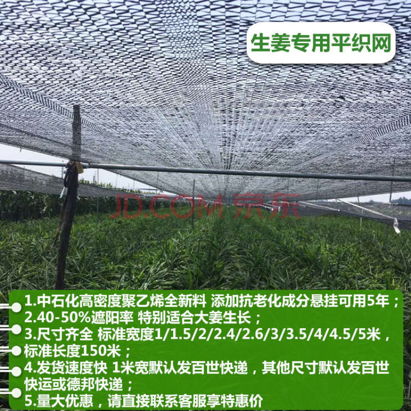 麦桑荷大姜遮阳网专用生姜平织平针高架网蔬菜育苗大棚果树三七重楼