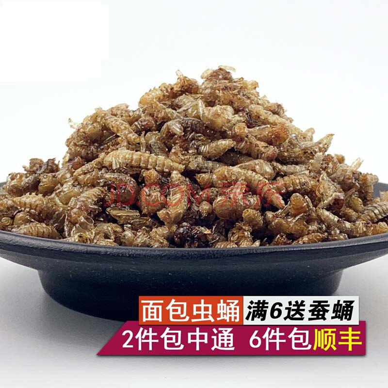 方便食品昆虫小零食油炸面包虫蛹香酥黄粉虫蛹昆虫美食金粉虫蛹油炸