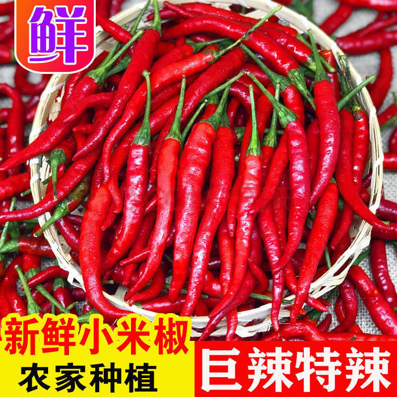 新鲜特辣小米椒红辣椒朝天椒产地直销 小米椒【精选3斤装】