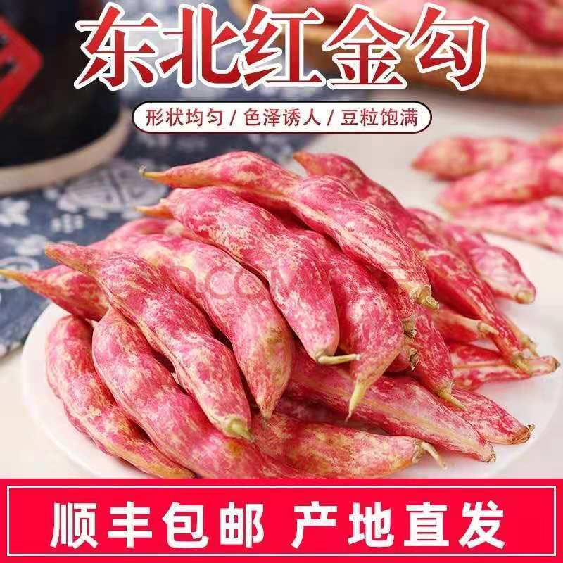 红金钩油豆角东北新鲜蔬菜黄金勾勾红油豆角农家种植新鲜采摘 净重1斤