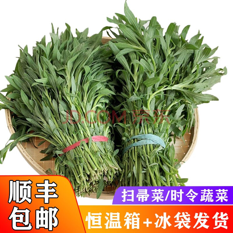 【顺丰】特心鲜 新鲜扫帚菜 铁扫帚苗菜地肤菜麦草野菜 3斤