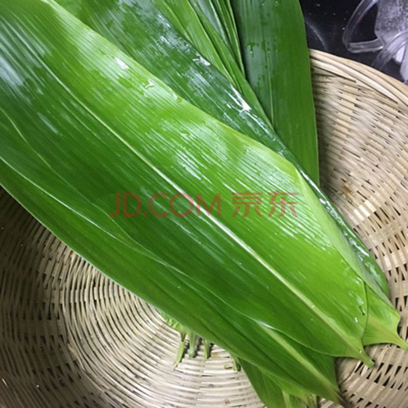 新鲜棕子叶新鲜粽叶野生粽叶新鲜大粽叶100片粽叶 鲜粽叶大号50片