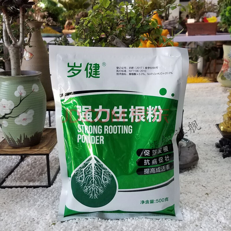 树苗生根剂植物扦插花卉生根粉 果树苗木银杏桂花大树移栽大包500克