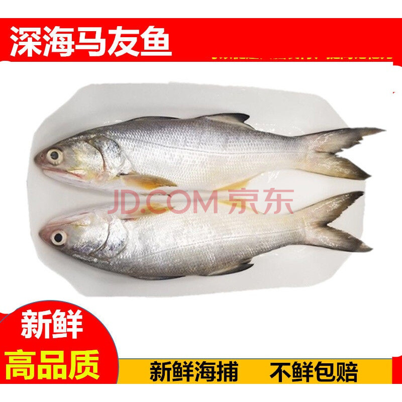 海捕午鱼马友鱼6斤深海水产新鲜急冻午笋鱼肉质鲜美细嫩0.