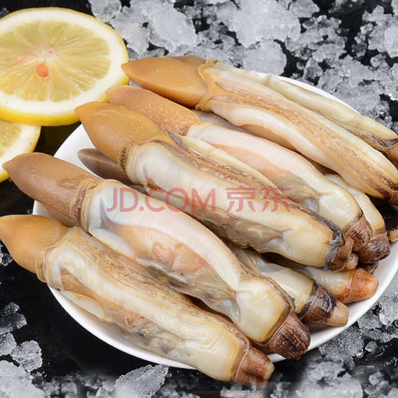 肉鲜活蛏子现剥海圣子干大蛏子竹蛏子超大特大新鲜蛏子王 三斤蛏王肉