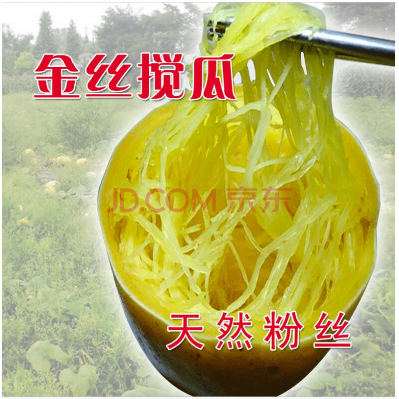 金丝搅瓜种子绞瓜天然粉丝四季播种蔬菜种春季夏季田园阳台盆栽拍砸三