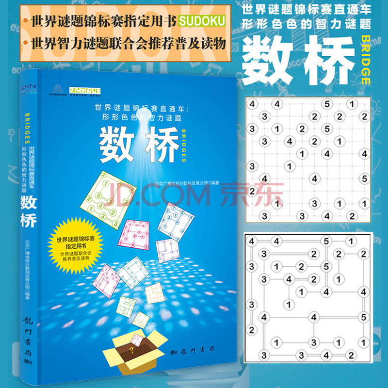 数桥 世界谜题锦标赛直通车 形形的智力谜题 经典通俗数学科普作品