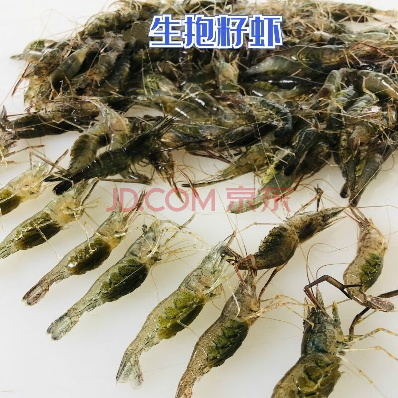 淡水河虾大青虾小草虾鲜活速冻现捕现发新鲜源头直发 全母抱籽虾400克