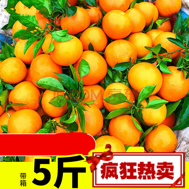 果冻橙橙子水果新鲜当季整箱柑橘桔子四川甜橙5斤带箱