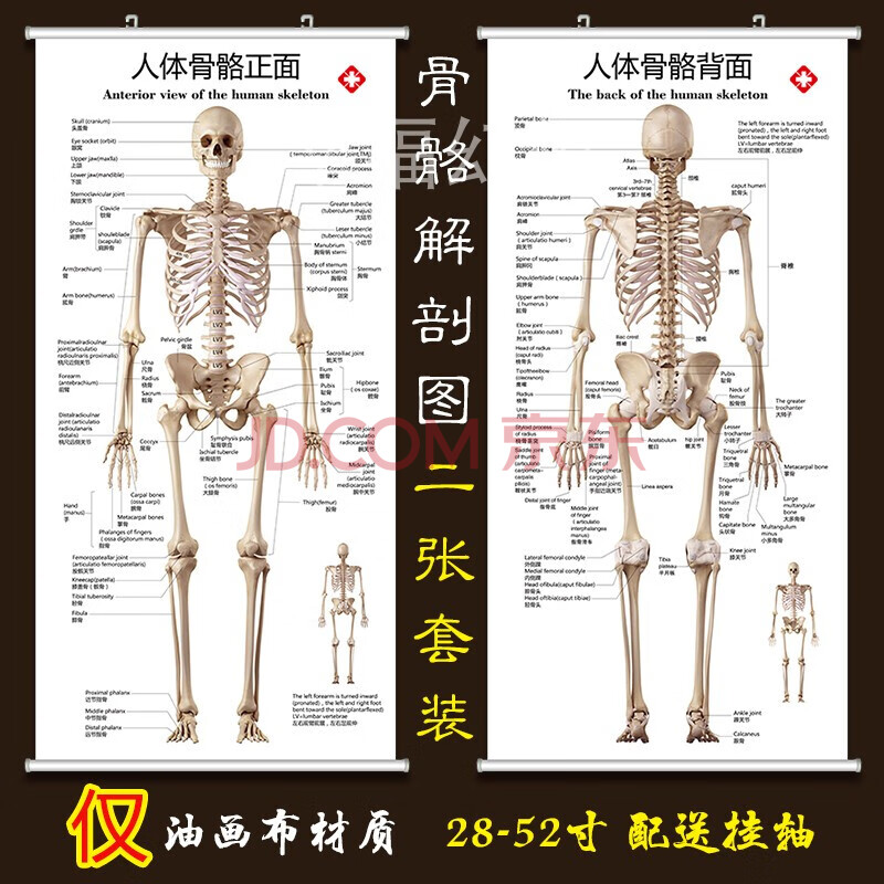 查看源网页