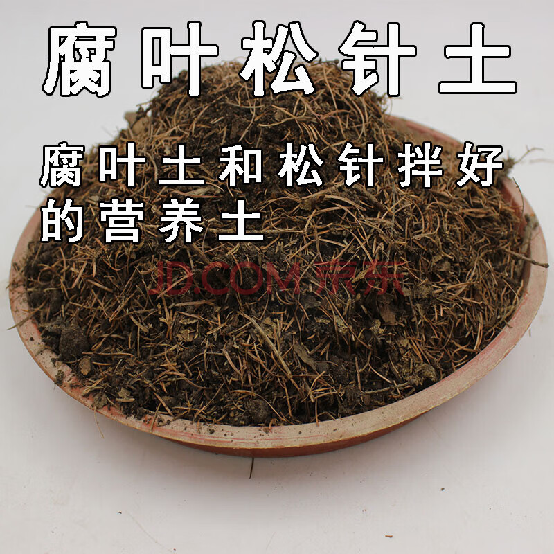 腐熟松针纯松针腐殖土天然腐叶土不含土君子兰专用家用酸性营养土nz 5