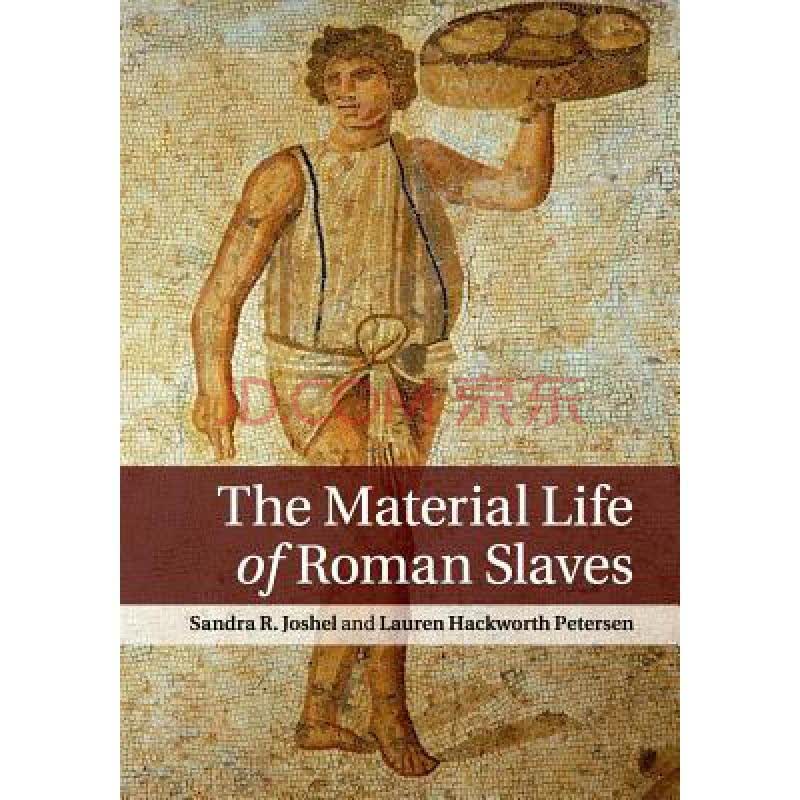 the material life of roman slaves